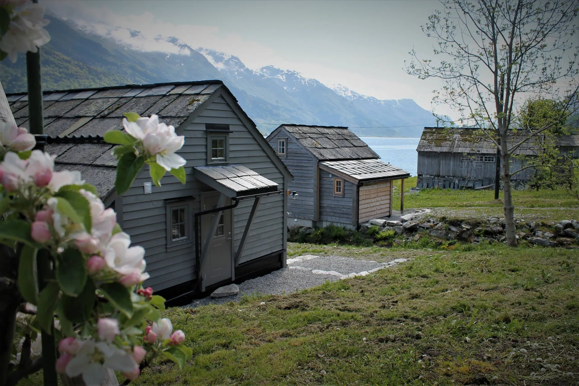 Dei to sjøhusa på Aga med blomstring og Sørfjorden i bakgrunnen