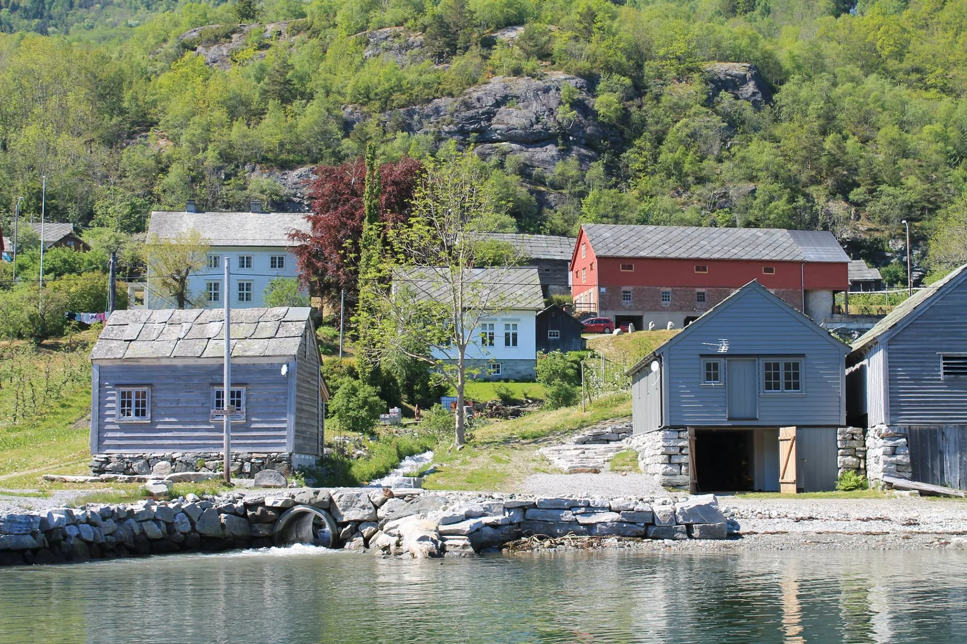 Sjøhusa med fruktgarden og fjellsida bak